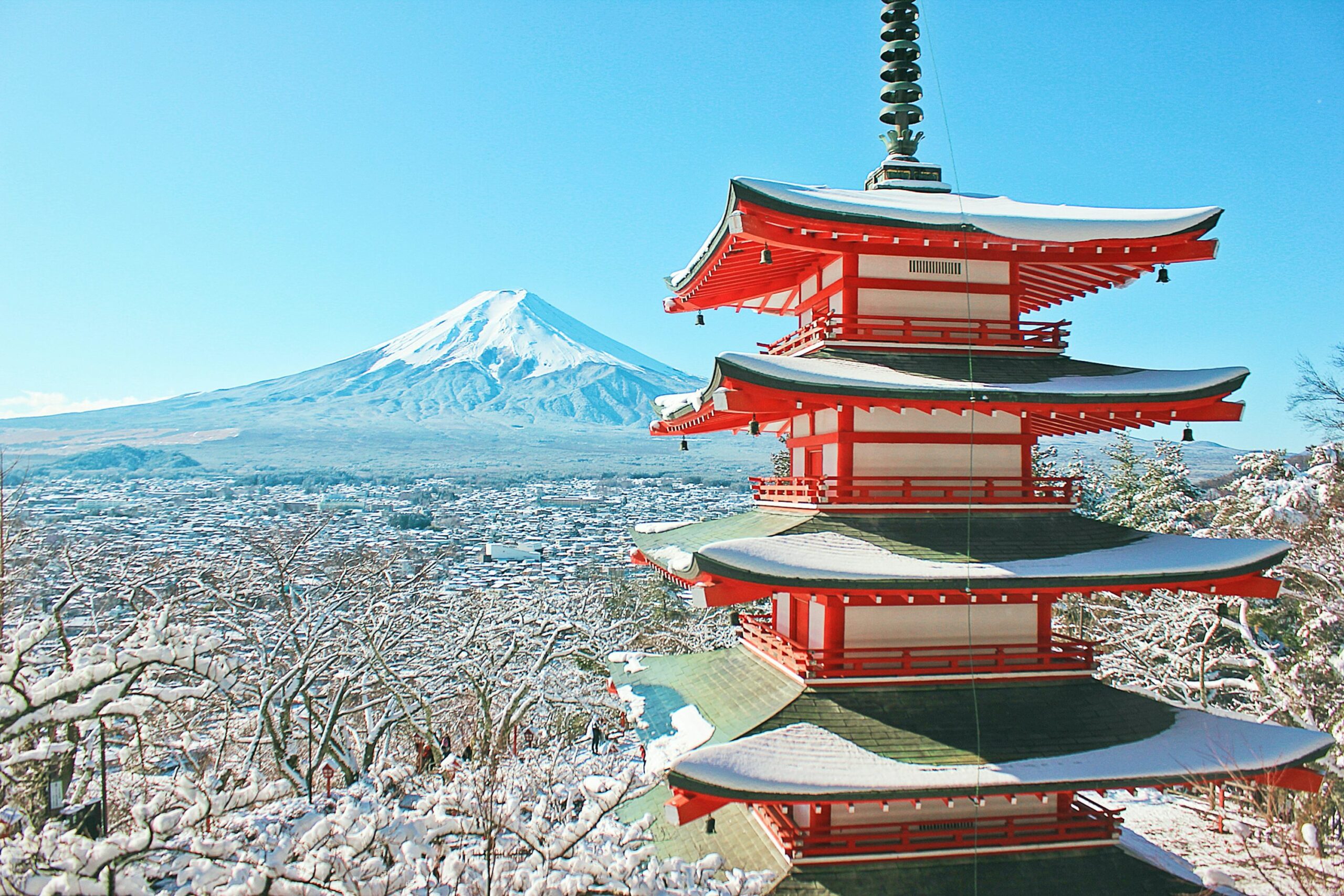 Japan Tour