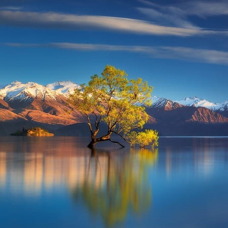 New Zealand